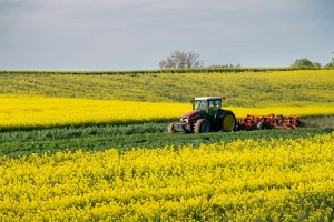 快讯：中国对加拿大菜籽征收75.8%临时反倾销税